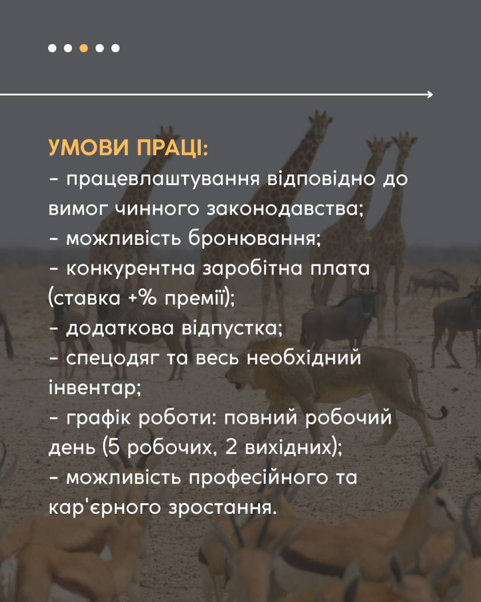 Запрошує на роботу зоопарк: Новини Харкова